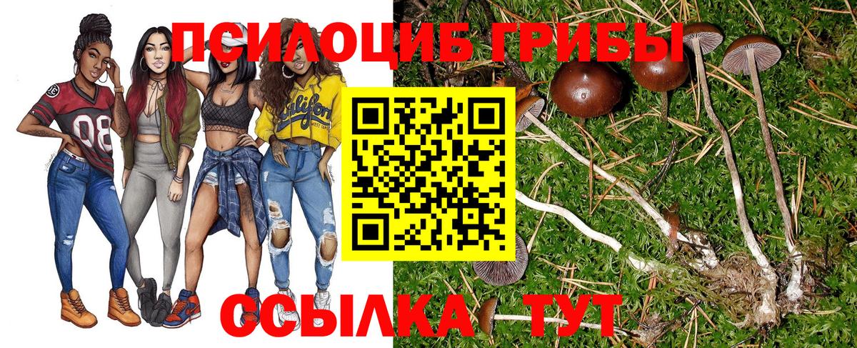 Осинники  Галлюциногенные грибы Cubensis  Вход с VPN 